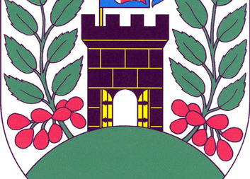 Finanční podpora od obce Jenčice