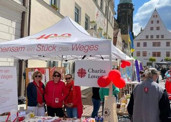 Den služeb v Pirně